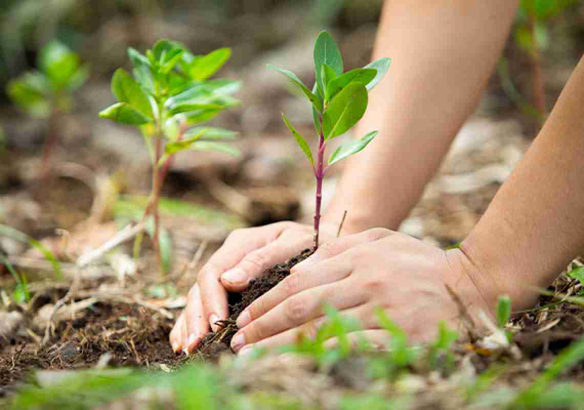 Taxa do lixo: ação concreta e necessária para preservação ambiental em Fortaleza