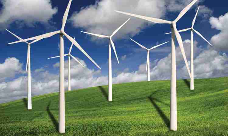 ONS Reduz Geração de Energia Eólica e Solar no Nordeste Após Blecaute