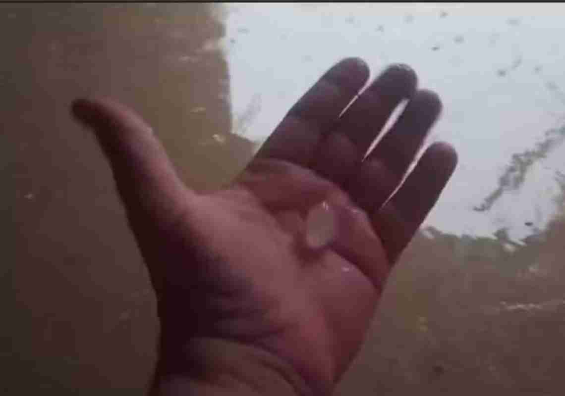 Chuva Intensa e Granizo Causam Estragos em Coreaú