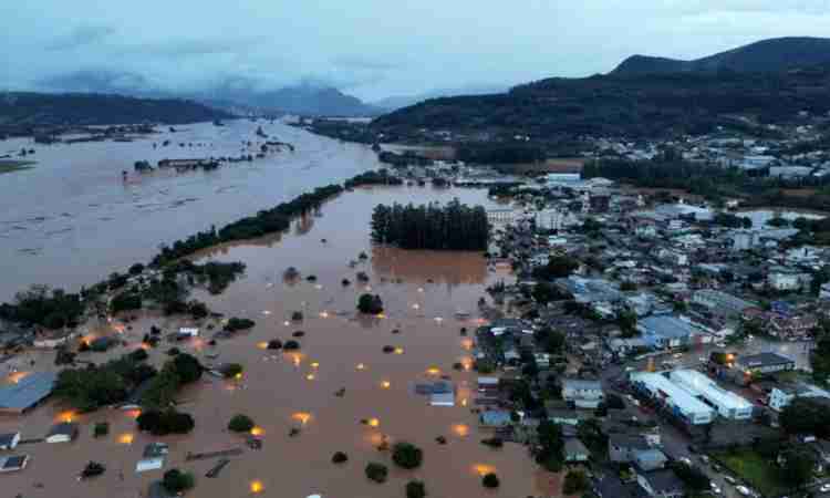 Ceará envia agentes e cães para ajudar em buscas e salvamentos no Rio Grande do Sul