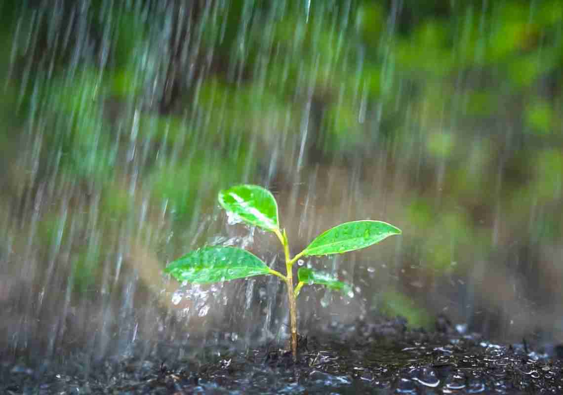 Início do inverno anima agricultores cearenses com previsão de chuvas isoladas nos próximos dias