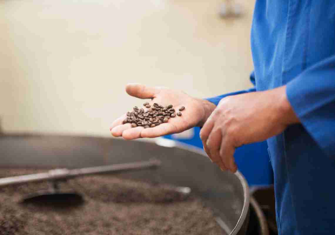 Café mais caro: por que os preços dispararam?